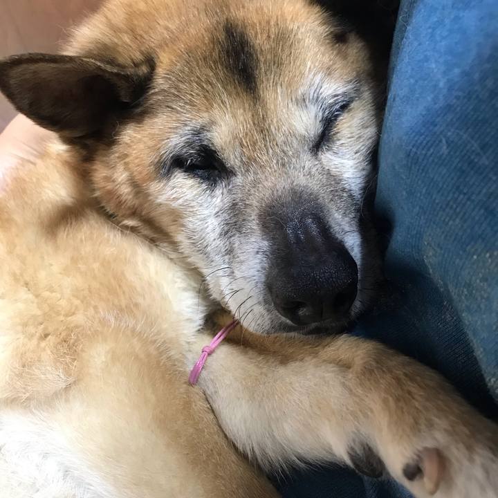 E796a857 2a9f 4852 8c53 cc3fa38963cf 1557624116241