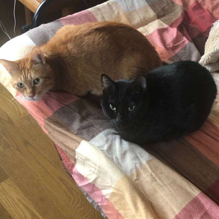 E796bec0 8ad9 4c2f 94e8 94d42080be7f 1667252892857