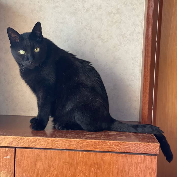 E796d222 cfc9 4229 bfbf 8ecd7e8773a2 1620093959157