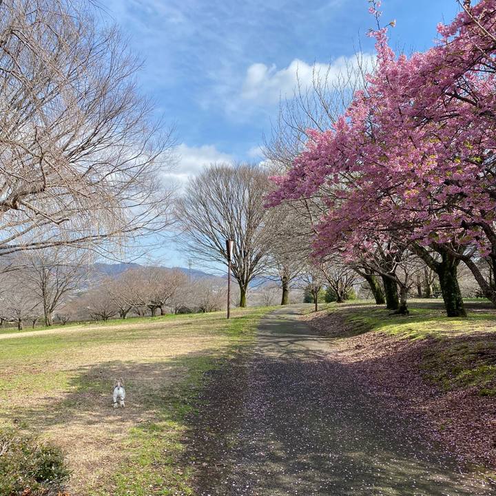 E796d7ec dc6b 41a3 8b4c 5624398d0f8f 1708771979655