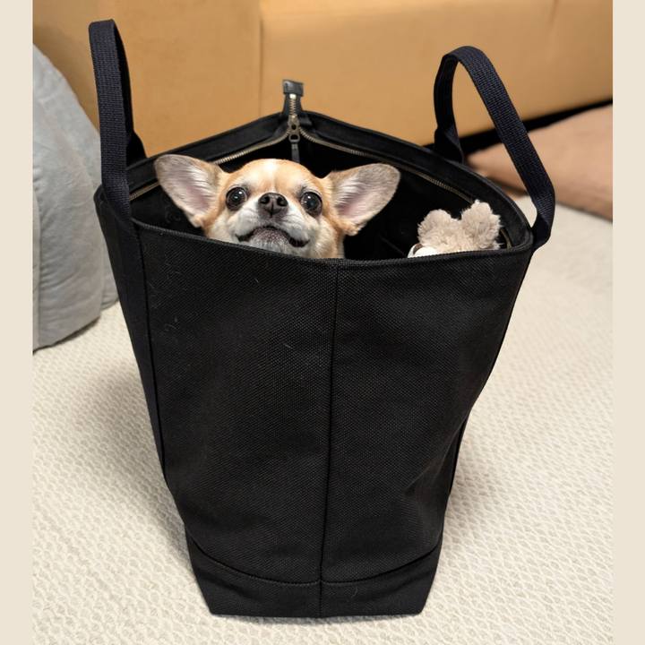 E7972197 34d6 4511 b434 b59f8e0d3684 1737197765926