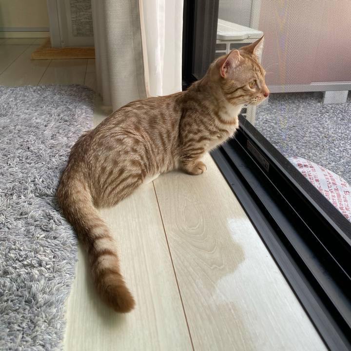 E79724ed b9c0 4e8a 9652 78ada2ac57c1 1597792791046