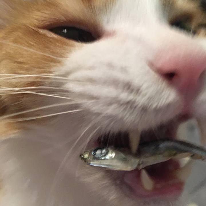 E797daad 4f77 4c41 87e2 143deb8f136a 1578482666516