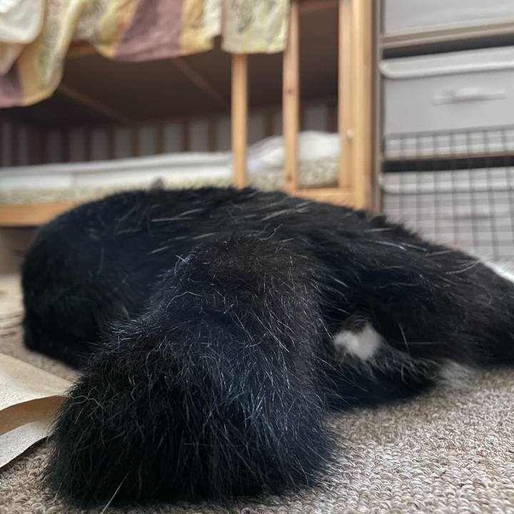 E797ec6c 9485 43cd a299 fb4d38dd3b7b 1723413245906