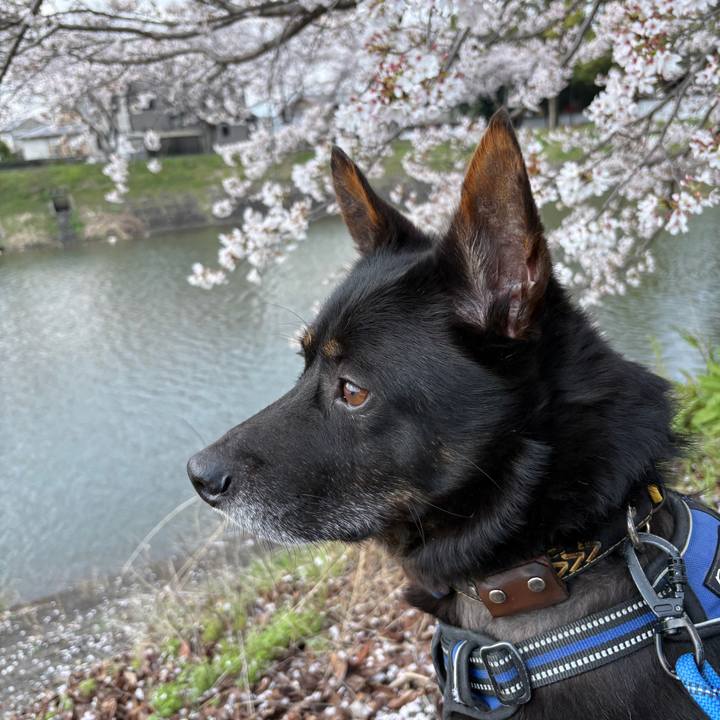 E797ef3e c082 4913 91b6 3763736a36c3 1775108795420