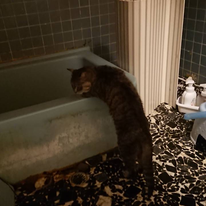 E797f2c9 344a 4d2f 91ad 11fe596a210c 1571736057077