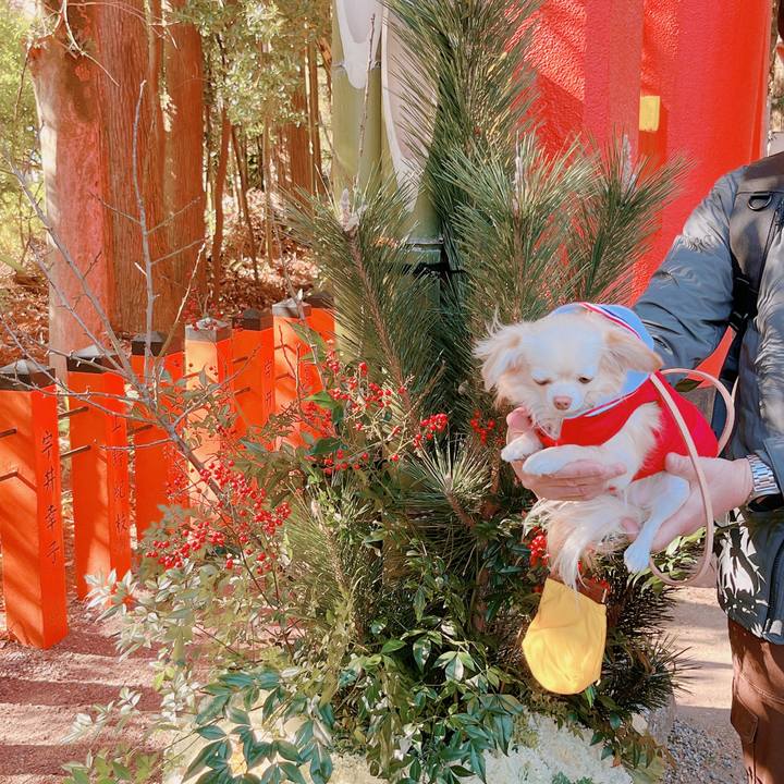 E7981fa7 3722 458e ae66 525908b215ce 1672648632265