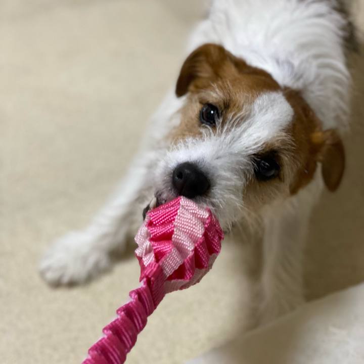 E7982b6a 1f4f 4fee b13f d6c1c23db96d 1742219554821