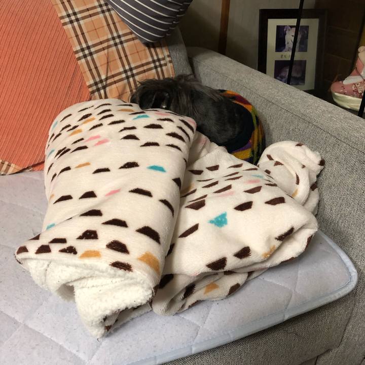 E7982cae e5bf 4a76 8062 364baa6d6219 1683727960837