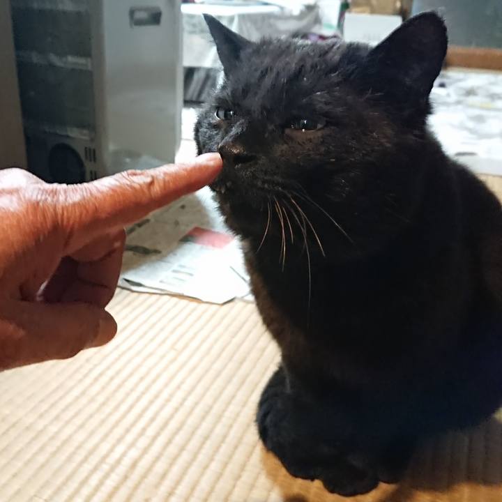 E7983d61 d5b1 470f 86cc 0a84bf6d102a 1619094782283