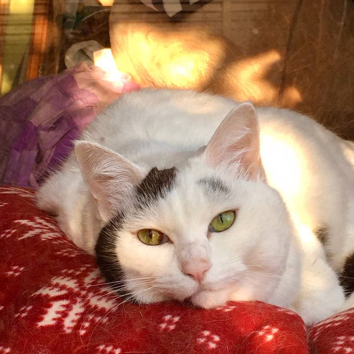 E7983ff3 be6e 49d6 9631 a0ed8977559f 1574046007063