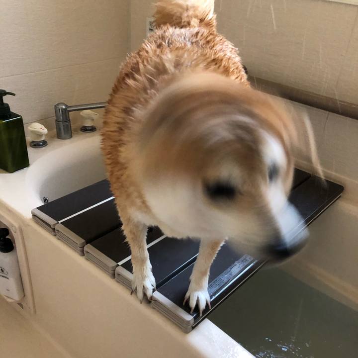 E7984e67 b11a 40b5 9b6c 6a64d61f552f 1590325002917