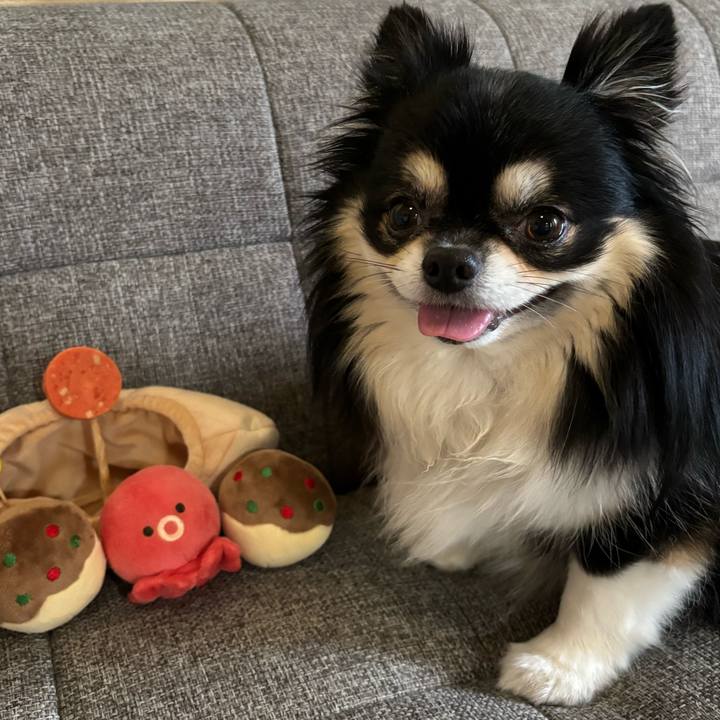 E798626d cca2 4442 a180 4e7752689c43 1758858428414