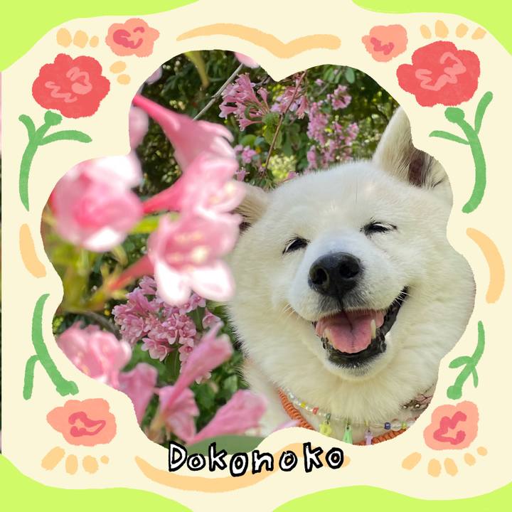 E7986c7c 1da8 47a1 8bb0 da19dd9f1014 1715063818236