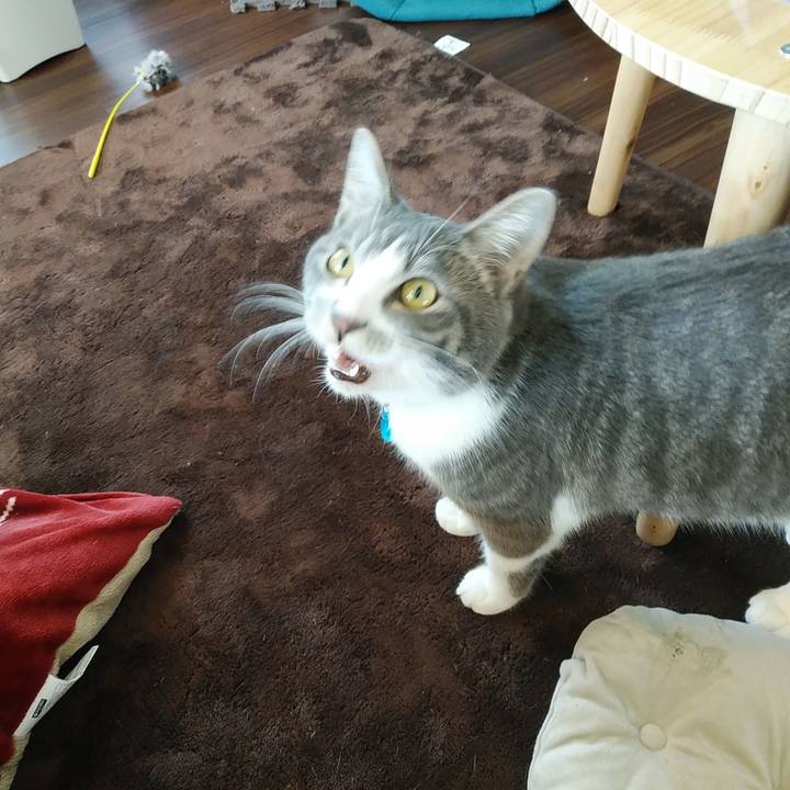 E79878ed c8b0 465a 9e9a 2c77aa990d40 1582500922466