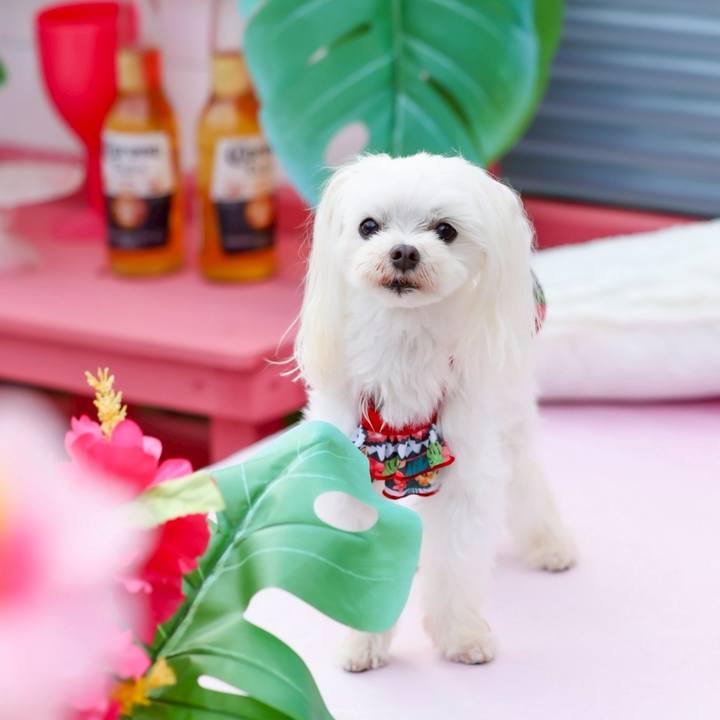 E798c9e4 ad97 43e6 8982 11ebddce9f70 1757211116803