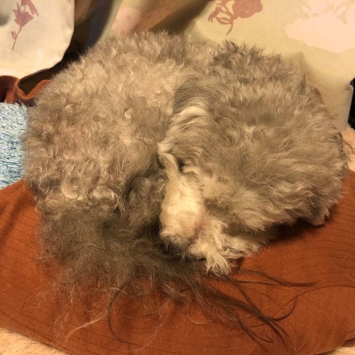 E798cfe9 ff4e 4a7e a56c 7bc9ce4e1850 1547198697229