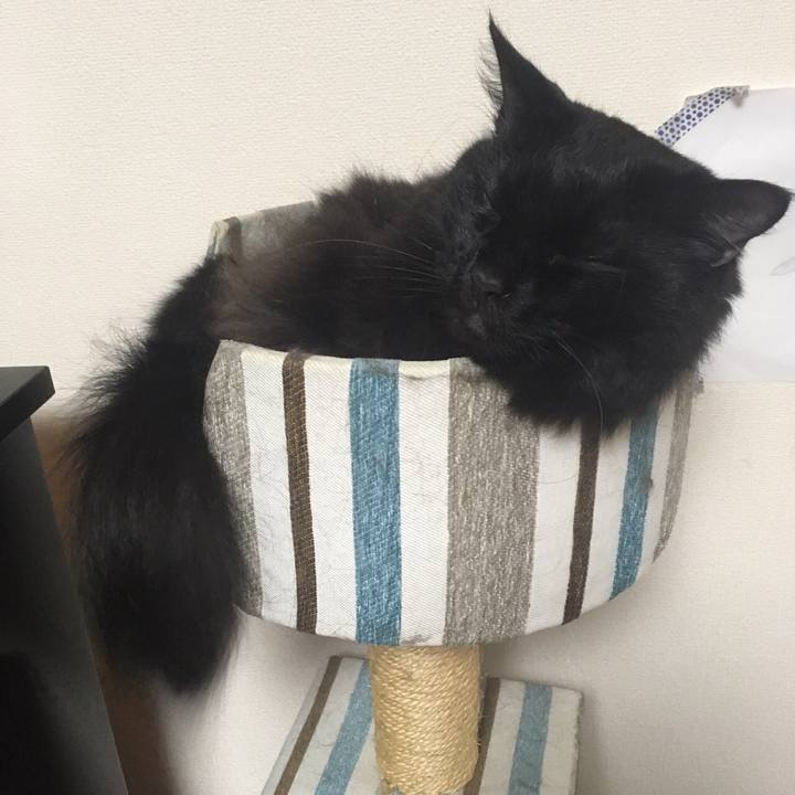 E79903e2 096d 43ea 9495 f8328a4fc980 1509247215987