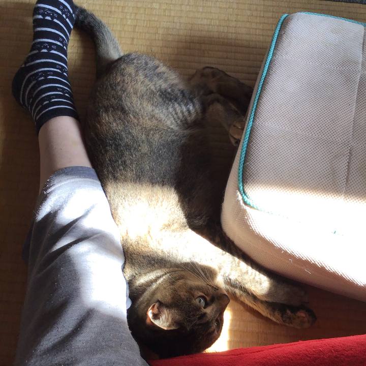 E7990411 40a7 49c2 89f2 21427c521f43 1596530055121