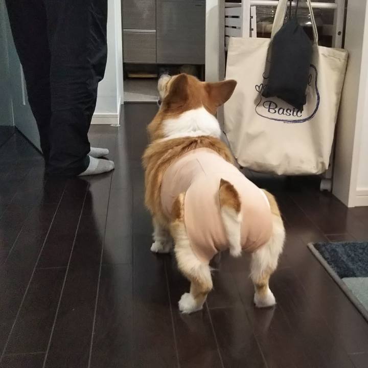 E79927ca 7e86 4263 9924 63da02dc9771 1545463034038