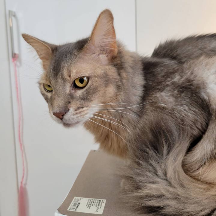 E79962eb 3c50 4a8c 8d4f 7c5571aaf519 1650623017328