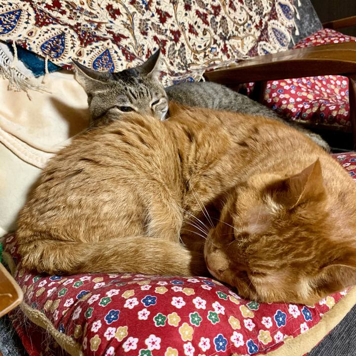 E799acd3 2d0e 4977 9141 7724febca4cc 1622290962835