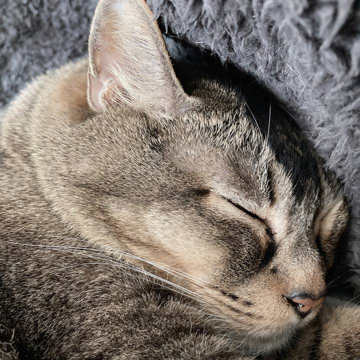 E799b4e8 f707 4fd8 a75a 216b8098fc50 1712985603114