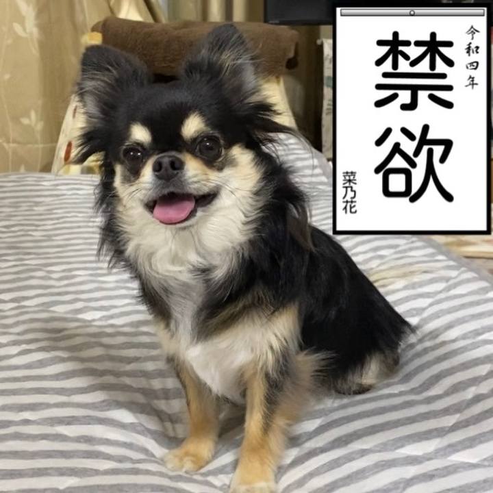 E799daff a7ed 4361 992b c17d6fa9e776 1641184107603