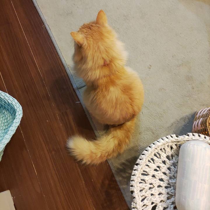 E79a07d0 421d 48bd b1ca f72730db35fd 1676932074381