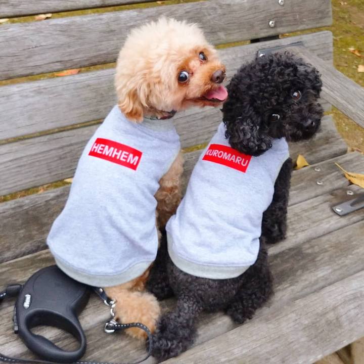 E79a2431 ffc3 4486 a786 844b56726c70 1600610672997