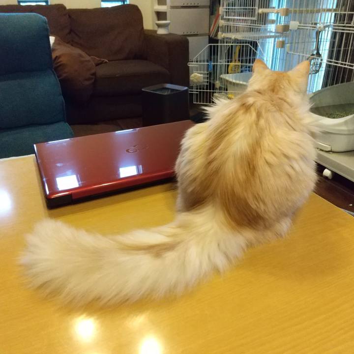 E79a439c a01b 4640 b598 f42976e93282 1617312716755