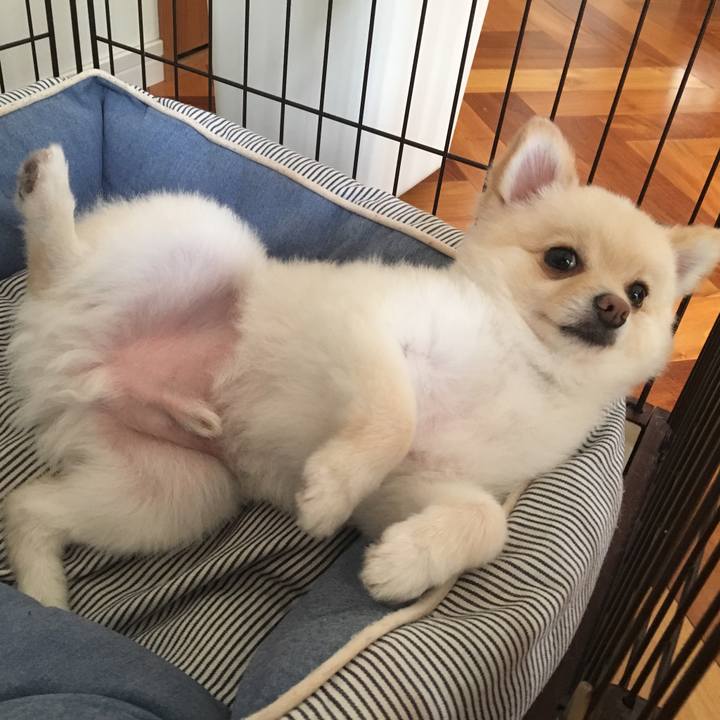 E79a4662 3731 4c57 9fe8 30f76d17c9a2 1536017978267