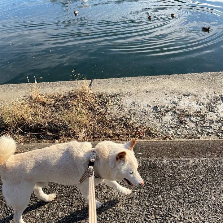 E79a5d50 a789 494d 9bc9 52f6a5feeed6 1638193584244