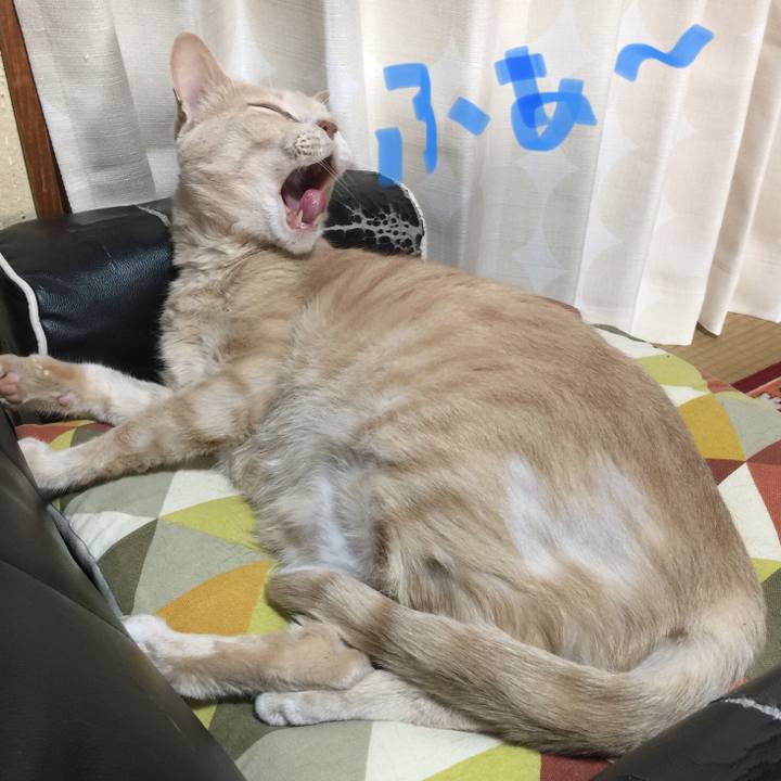 E79a8bdb 82ed 4146 bdcd 16487151132a 1563322603837