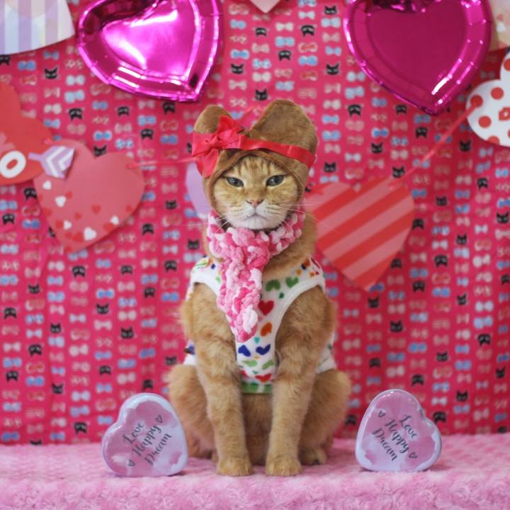 E79aaa63 b213 4fa5 9586 4e3bd9f569d5 1644820147338