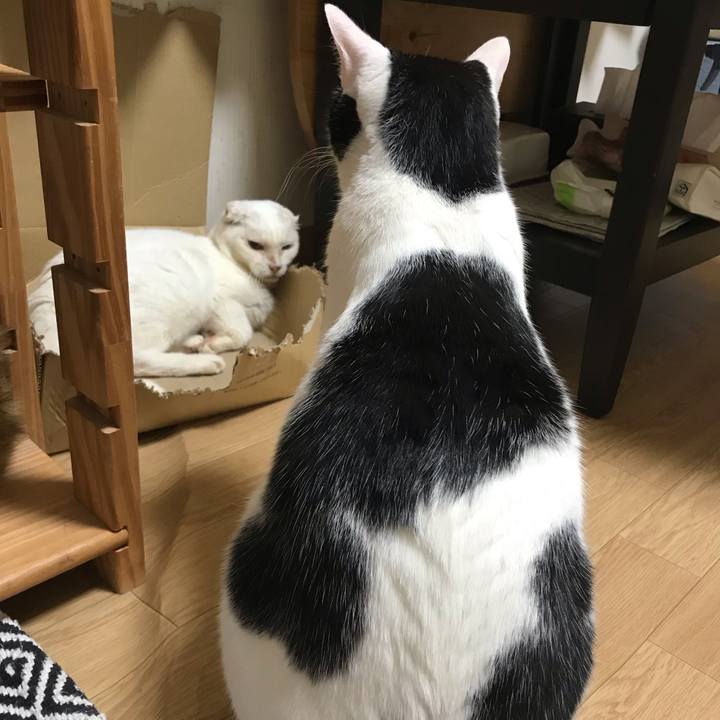 E79b33c2 fc76 4d8a a9c9 e41592187ffb 1570012674077