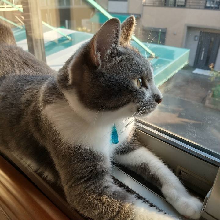 E79b4ecf a371 4142 8ba1 4e6487726d11 1623186234934