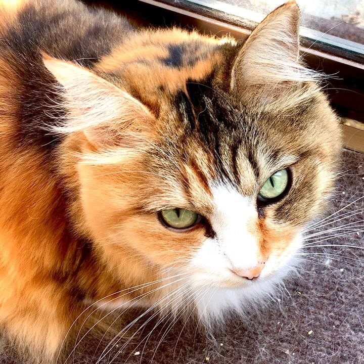 E79b6fa9 6bac 49de 84f5 a2a6e49f7324 1571998954936