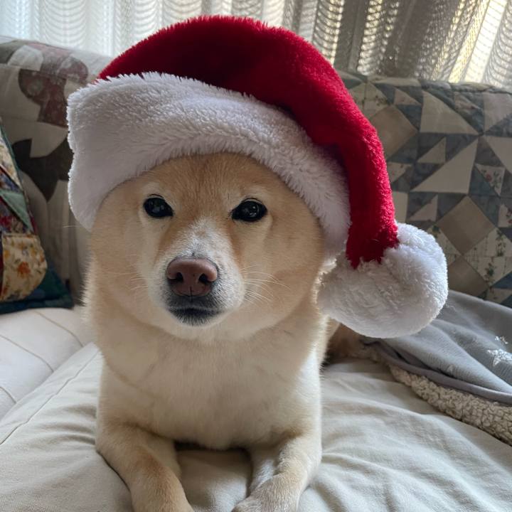 E79b85c3 5f90 45dc b32d 77f17bcef142 1735438503507