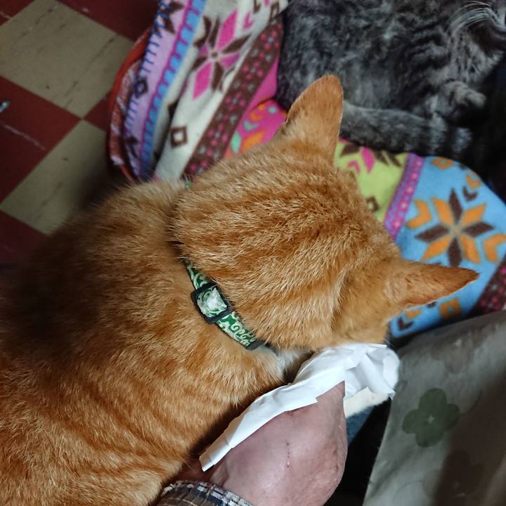 E79bc0ba 41ab 4b49 ad44 57b0a08cb146 1584441058684