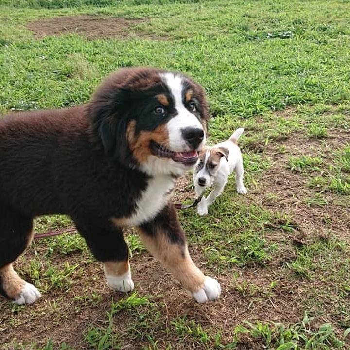 E79c02bf bd04 4e58 8870 3a50a4155cbb 1561536120663