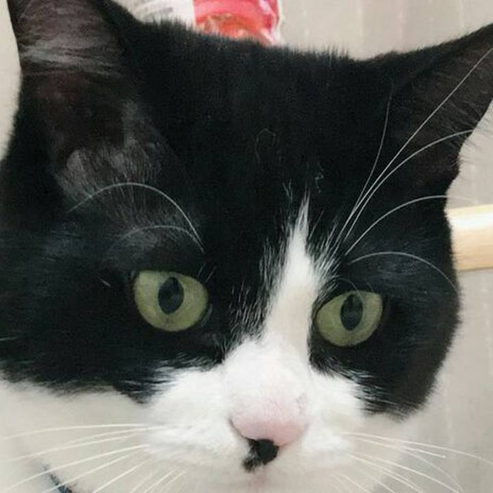 E79c1384 2106 4b31 92a3 0f1f9046f110 1515249194054