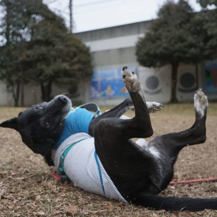 E79c15c5 d637 47c7 af7b a0796310919e 1770424794531