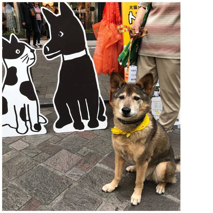 E79c1768 4f8d 4476 bfa2 f784e77c3168 1555847788557