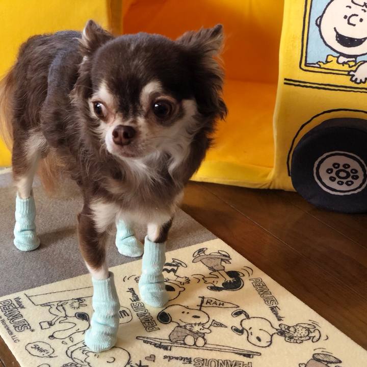 E79c2a61 fa81 4e24 8c8b 572e438f686d 1535710236591