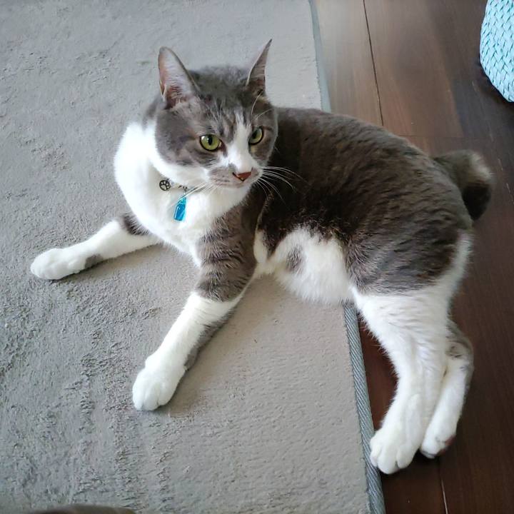 E79c48b1 707f 4114 b0bf 1cff2badfe9c 1713250219073