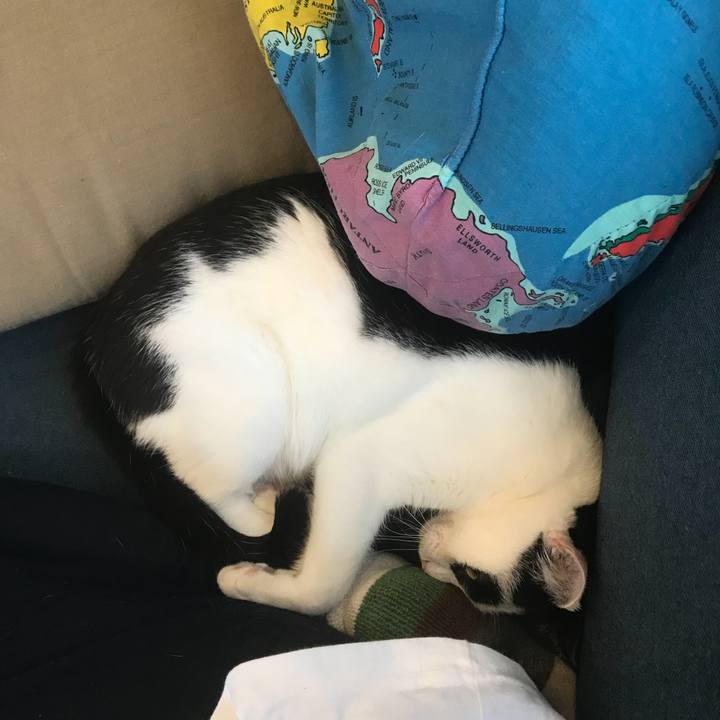 E79c78f4 90fe 4f64 9803 3f63775b8daa 1512370753689