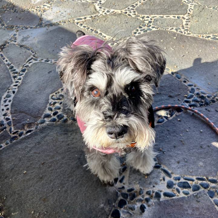 E79ca246 f231 41f4 ab23 86a4ca2f703d 1773468998085