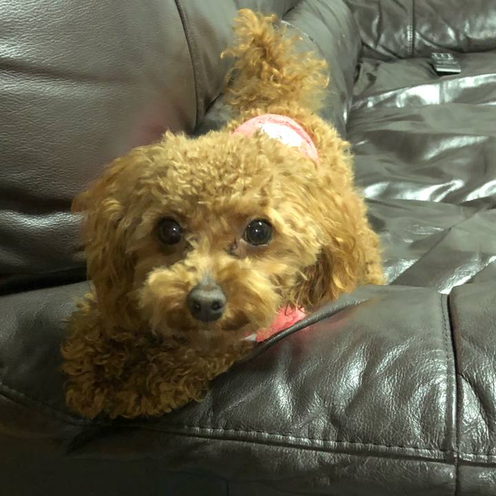 E79ca8ce 94fa 47d9 a207 9f33bf508ed5 1523367161346