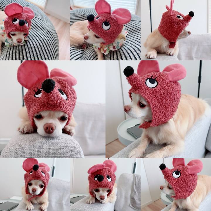 E79cb2d8 d196 435a 95bf 45ef64b331c8 1715504062933